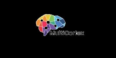 MultiCortex